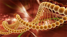 Изображение из статьи: Возможно все!