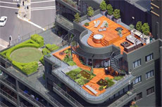 Изображение из статьи: Крыша дома моего