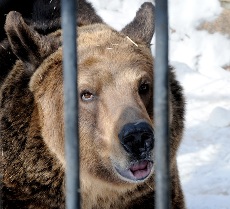  фото - Вадим Ахметов, © Служба новостей