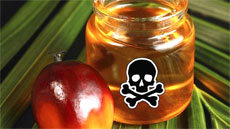 пальмовое масло