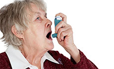 Изображение из статьи: Новый препарат для лечения болезни Альцгеймера