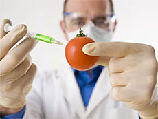 Изображение из статьи: Нужны ли россиянам продукты с ГМО?