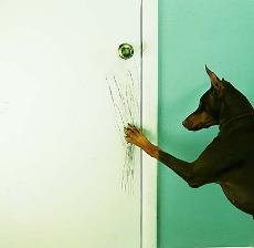 Изображение из статьи: Признаки того, что пора менять работу