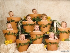 Изображение из статьи: Рожать за деньги? Смотря, за какие!