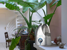 Изображение из статьи: Сухой воздух. Методы борьбы.