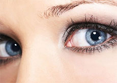 Изображение из статьи: Тайна голубых глаз