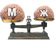 мозг мужчины и женщины